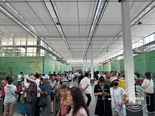 農博會之旅 探訪科技小院，體驗農業(yè)新質生產力與教育科技的融合