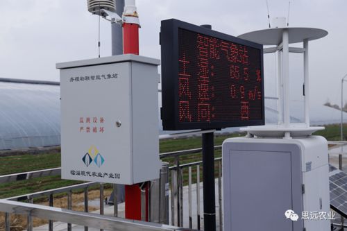 思遠(yuǎn)標(biāo)準(zhǔn)化智慧農(nóng)業(yè)服務(wù)模式獲國(guó)家級(jí)認(rèn)可 樹(shù)立數(shù)字農(nóng)業(yè)新標(biāo)桿